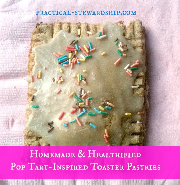 Pop Tart-Inspired Toaster Pastries @ practical-stewardship.com