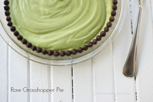 Raw Grasshopper Pie