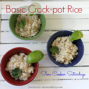Basic Crock-pot Rice