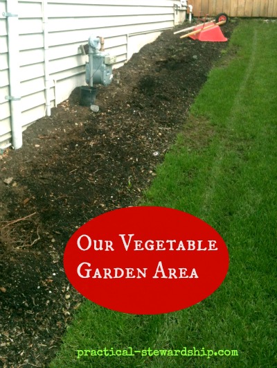Our Vegetable Garden Area