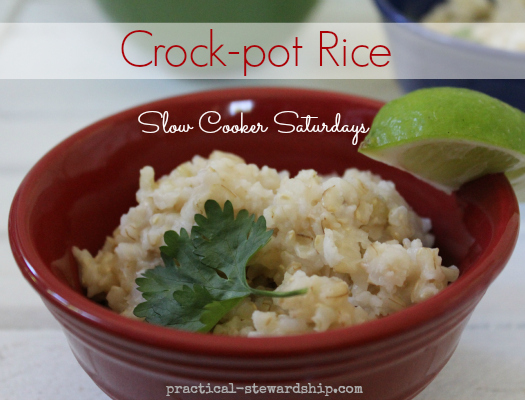 Easy Crock Pot Rice Practical Stewardship
