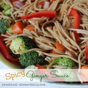 Spicy Ginger Sauce, GF, DF