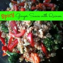 Spicy Ginger Sauce with Quinoa