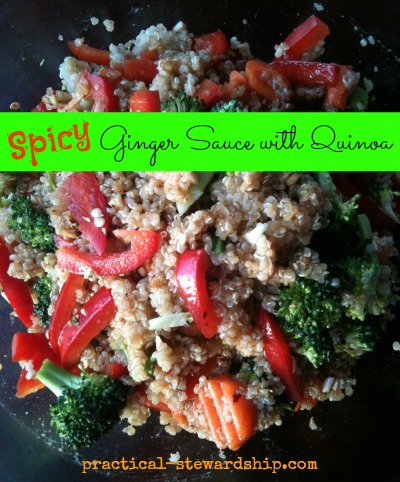Spicy Ginger Sauce with Quinoa