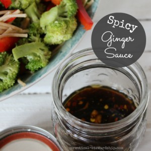 spicy ginger sauce