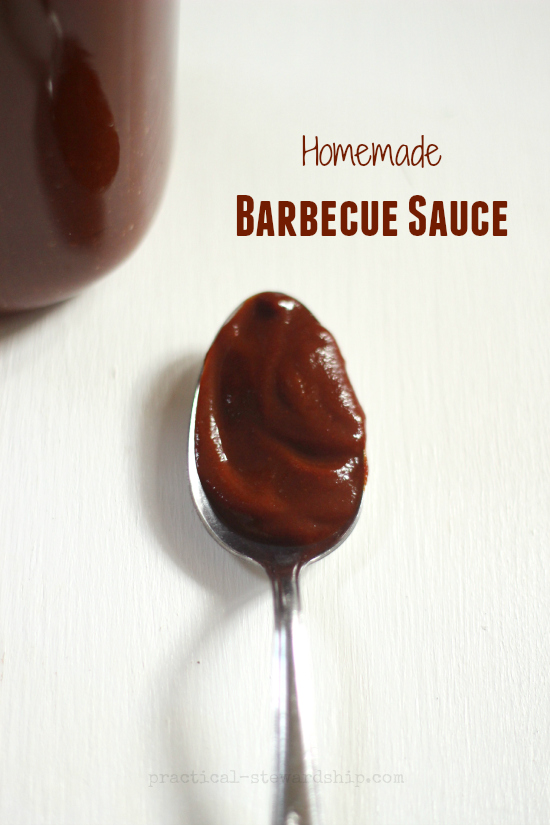 Homemade Barbecue Sauce Spoonful