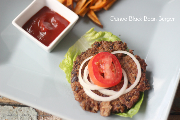 Quinoa Black Bean Burger, Vegan Friendly