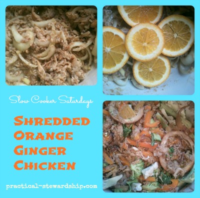 Shredded Orange Ginger Chicken in the Slow Cooker
