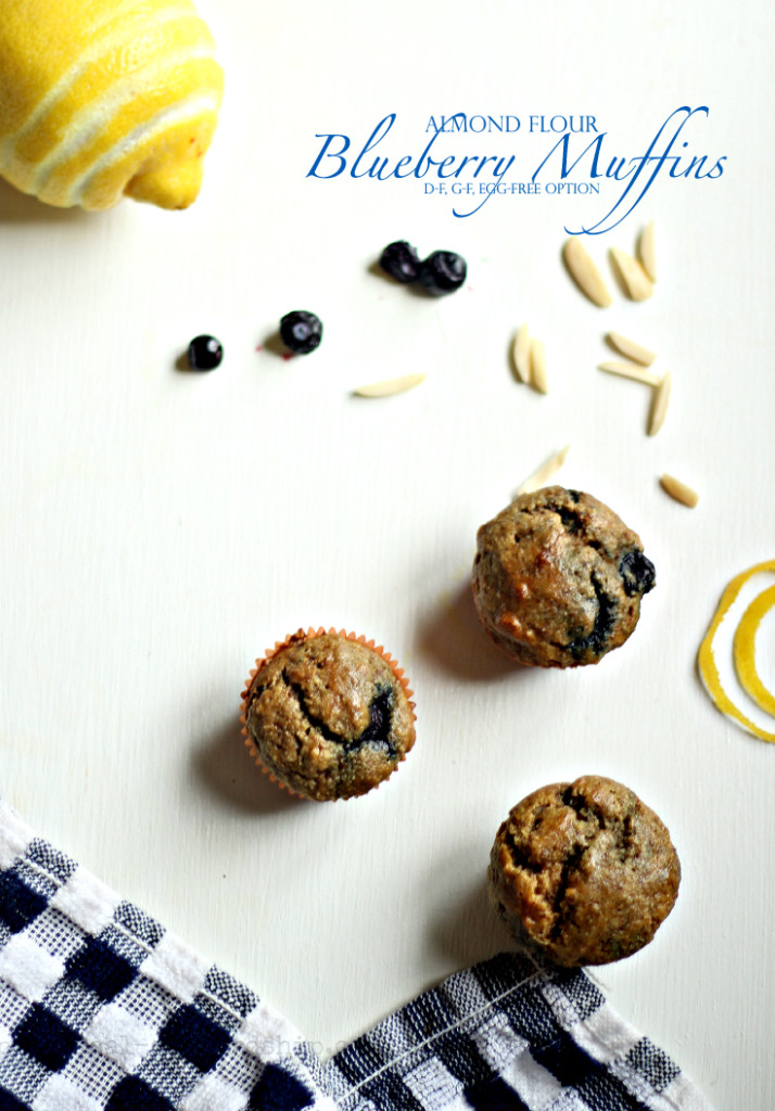 Almond Flour Blueberry Muffins D-f, G-F