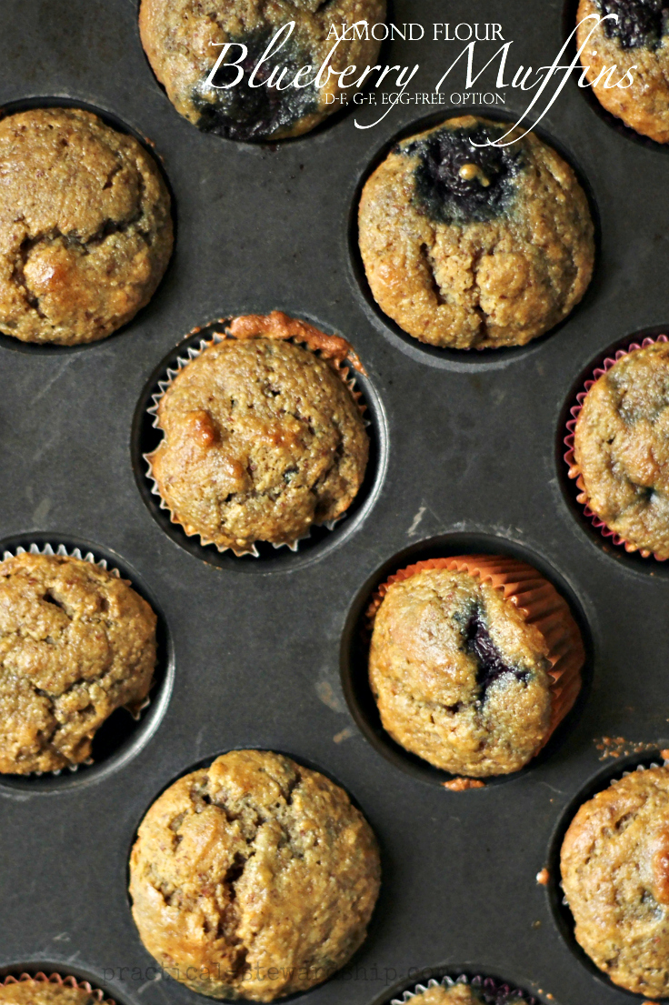 Almond Flour Blueberry Muffins D-f, G-F