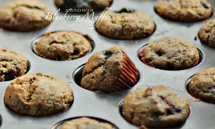 Almond Flour Blueberry Muffins D-f, G-F