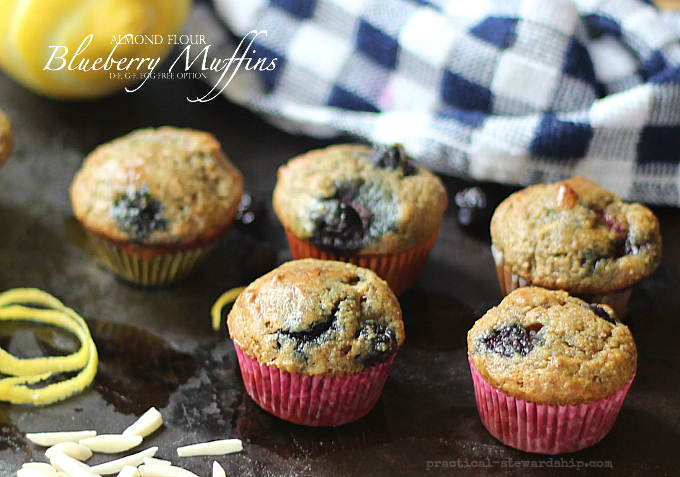 Almond Flour Blueberry Muffins D-f, G-F