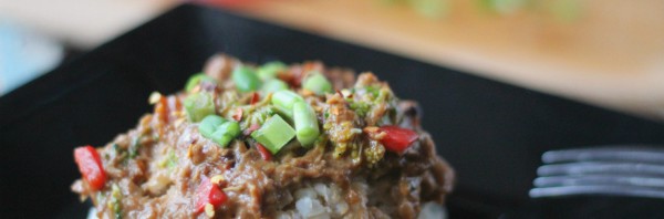 Crock-pot Chicken with Thai Peanut Sauce