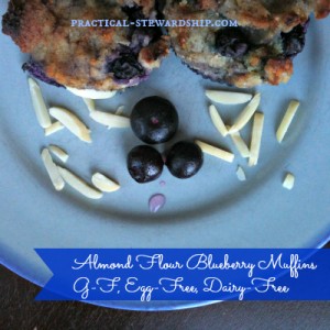 Gluten-Free Almond Flour Blueberry Muffins Dairy-Free, Egg-Free