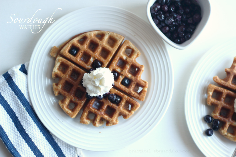 Sourdough Waffles