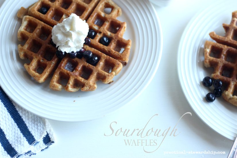 Sourdough Waffles with Blueberries