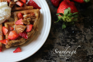 Sourdough Waffles with Pecans