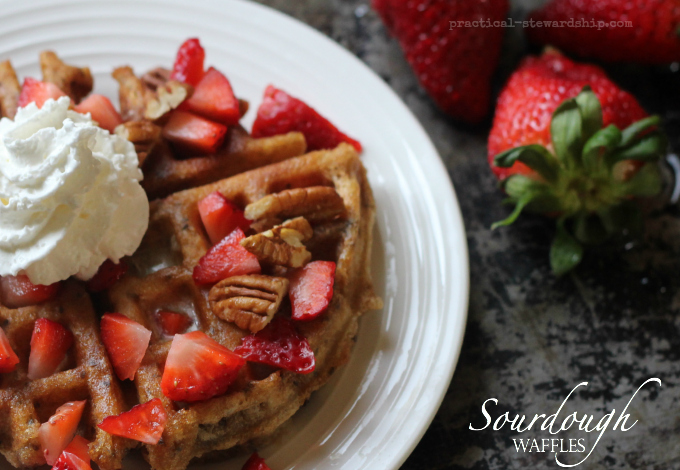 Sourdough Waffles