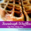 Sourdough Waffles, Egg-Free, Dairy-Free, Vegan