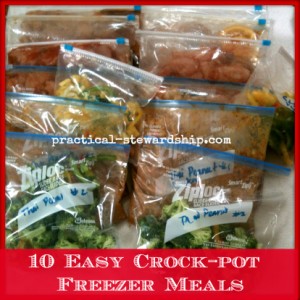 10 Easy Crock-pot Chicken Freezer Meals