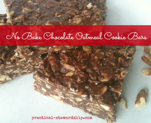 No Bake Chocolate Oatmeal Cookie Bars, Vegan, G-F, Dairy-Free