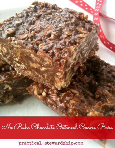 No Bake Chocolate Oatmeal Cookie Bars, Vegan, G-F, Dairy-Free