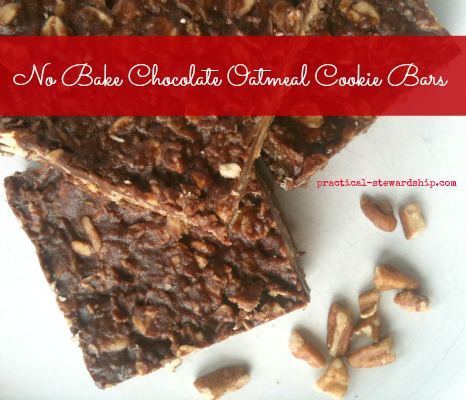 No Bake Chocolate Oatmeal Cookie Bars, Vegan, G-F, Dairy-Free