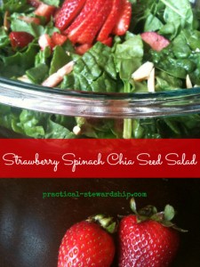 Strawberry Spinach Chia Seed Salad