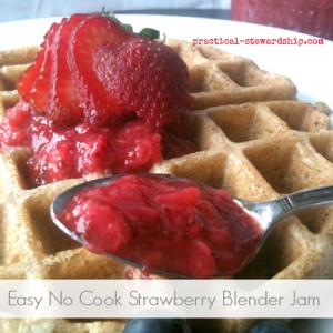 Easy No Cook Strawberry Blender Jam