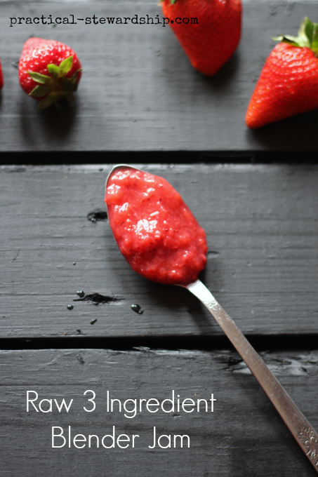 Raw 3 Ingredient Blender Jam