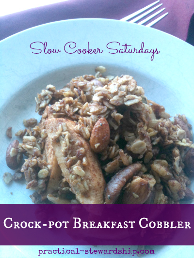 Slow Cooker Breakfast Cobbler D-F, G-F