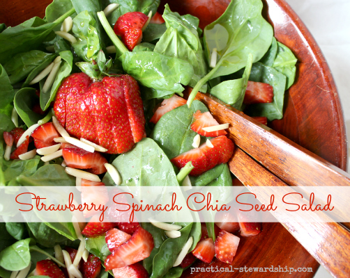 Strawberry Salad