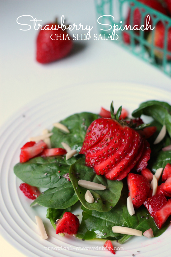 Strawberry Spinach Chia Seed Salad