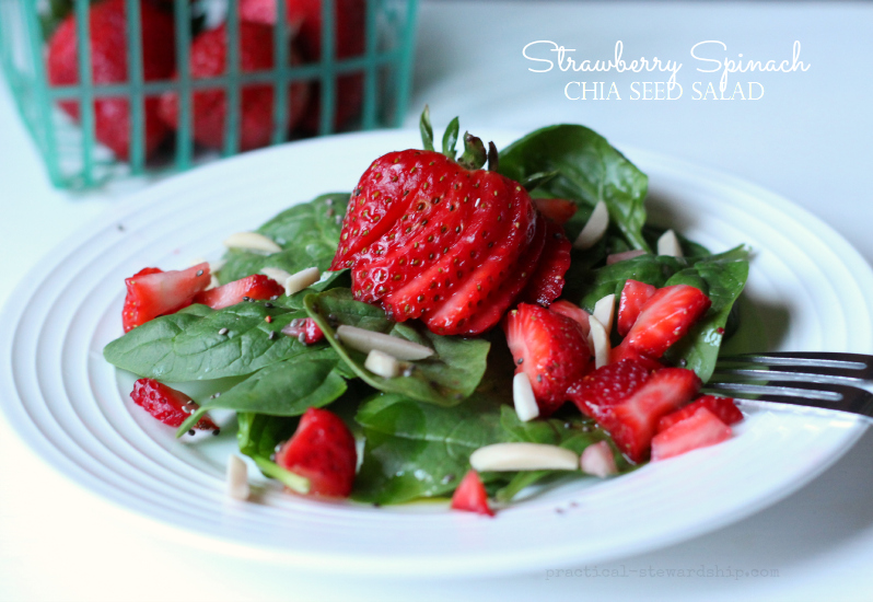 Strawberry Spinach Chia Seed Salad