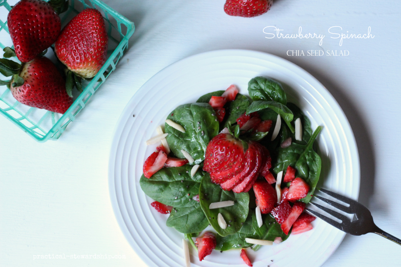 Strawberry Spinach Chia Seed Salad