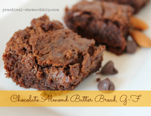 Chocolate Almond Butter Bread, G-F