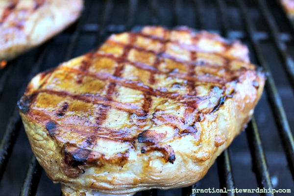 Grilled Pork with an Asian Sauce - Practical Stewardship