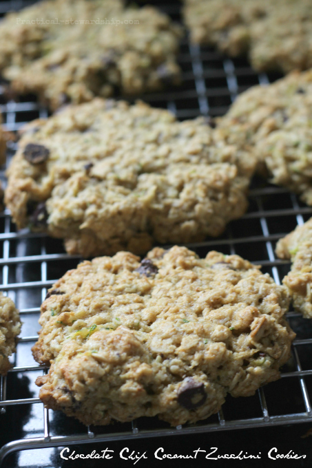 Chocolate Chip Coconut Zucchini Breakfast Cookies  Practical Stewardship