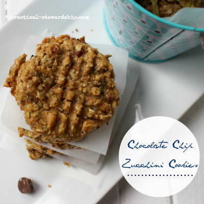 Chocolate Chip Zucchini Cookies