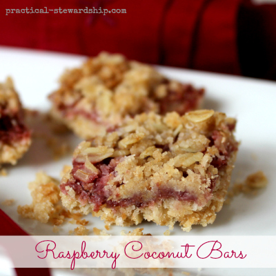 Raspberry Coconut Crumble Bars