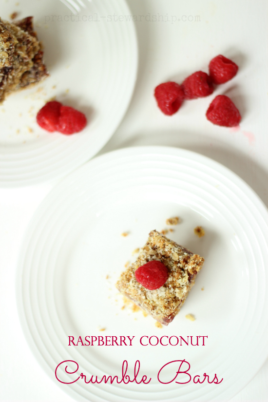 Raspberry Coconut Crumble Bars