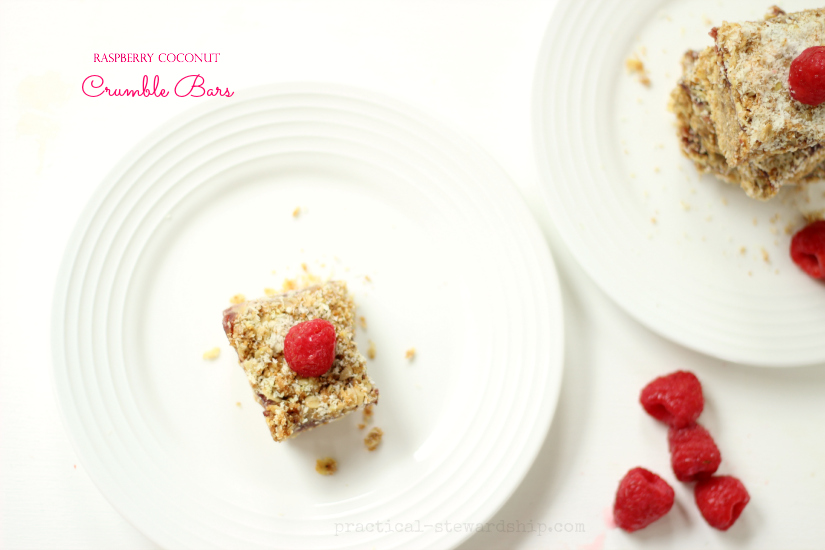 Raspberry Coconut Crumble Bars