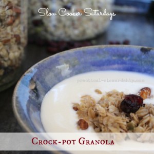 Slow Cooker Granola Crock-pot
