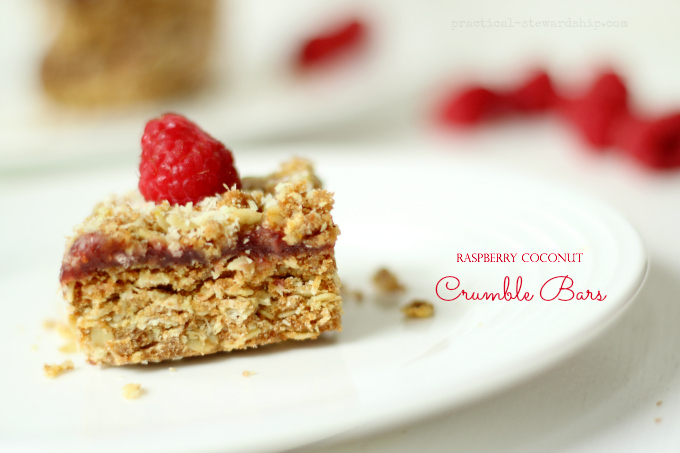 Raspberry Coconut Crumble Bars