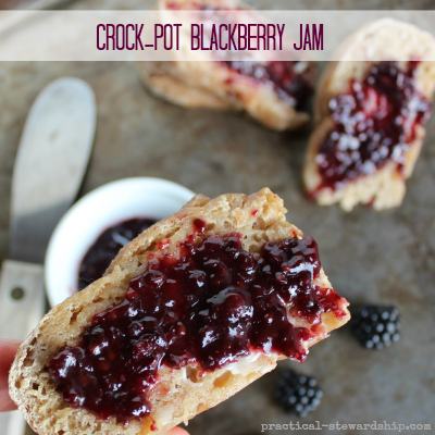 Crock-pot Blackberry Jam with Chia Seeds