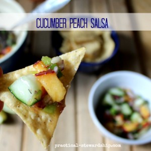 Cucumber Peach Salsa with Chips