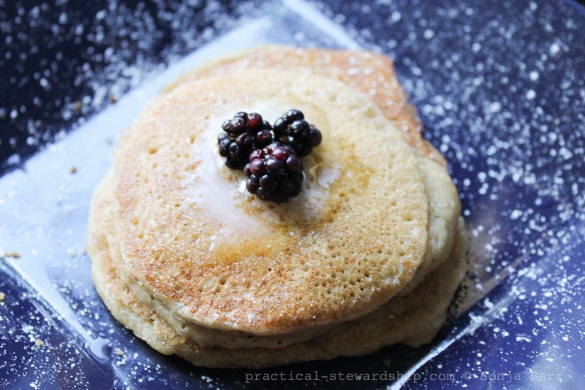 Sourdough Pancakes-