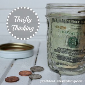 Finance Thrifty Thinking Saving Money on Healthcare and Food