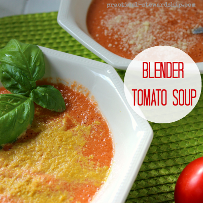 Blender Tomato Basil Soup