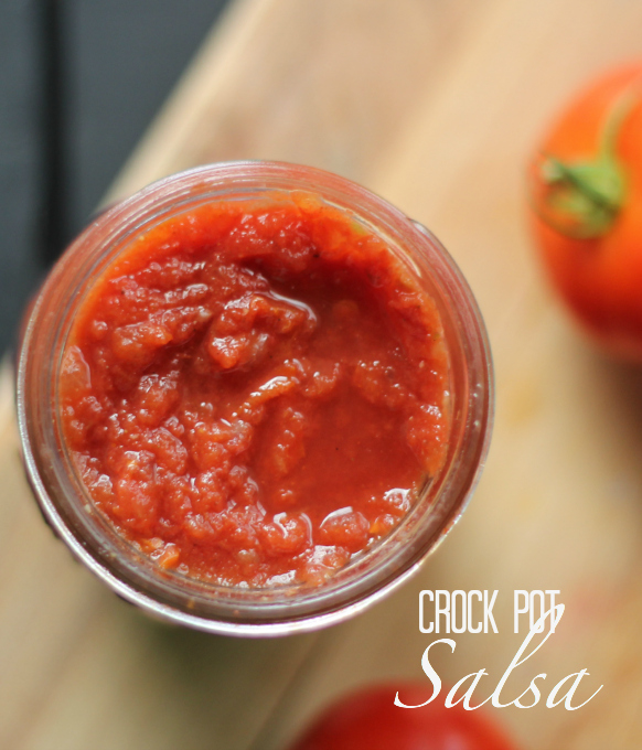 Crock Pot Salsa